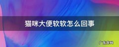 猫猫大便有点软 猫咪大便软软怎么回事