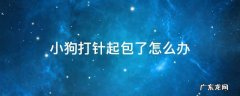 小狗打针起包了怎么办 给小狗打针起包了怎么办