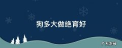 狗多大才能做绝育 狗多大做绝育好