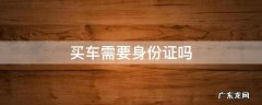 买车需要身份证吗 驾驶证不可以吗 买车需要身份证吗