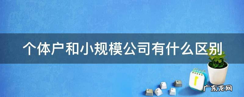 注册公司和个体户哪个更好 个体户和小规模公司有什么区别