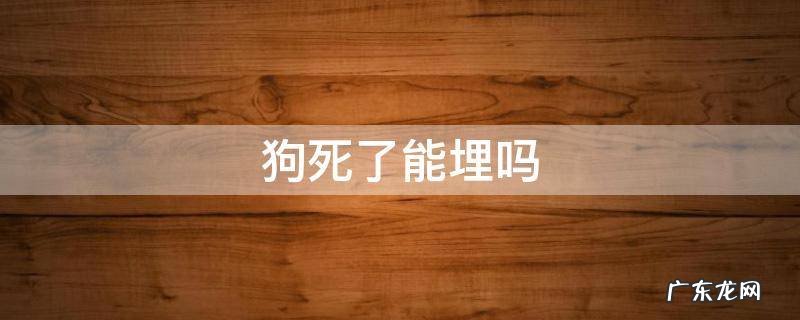 小猫小狗死了能埋吗 狗死了能埋吗
