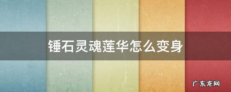 锤石灵魂莲华怎么变身 灵魂莲华锤石切换形态