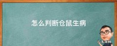 怎么判断仓鼠生病 怎么判断仓鼠生病了