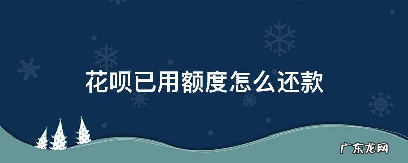 花呗还款了怎么还有已用额度 花呗已用额度怎么还款