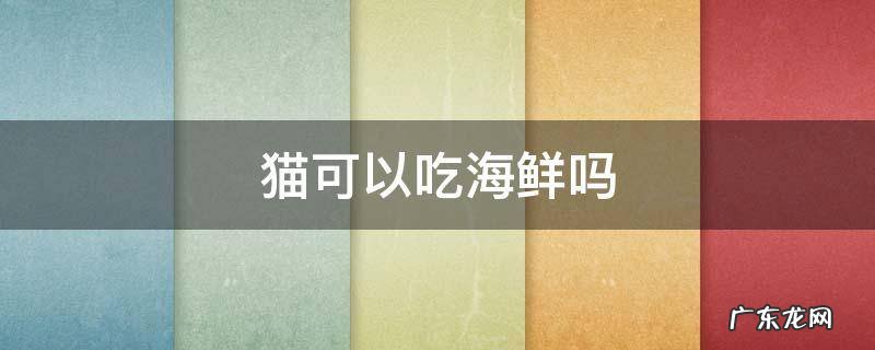 猫可以吃海鲜吗? 猫可以吃海鲜吗