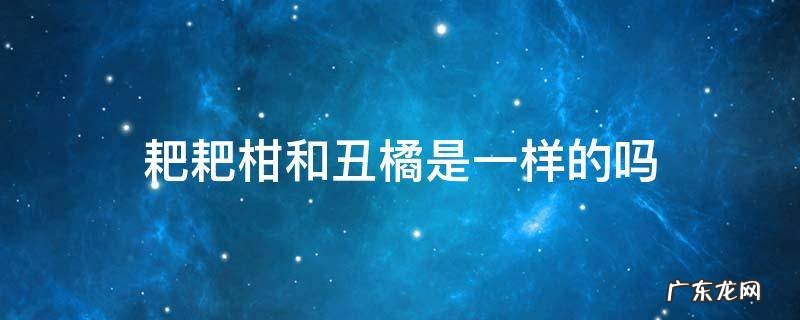 耙耙柑又叫丑橘吗 耙耙柑和丑橘是一样的吗
