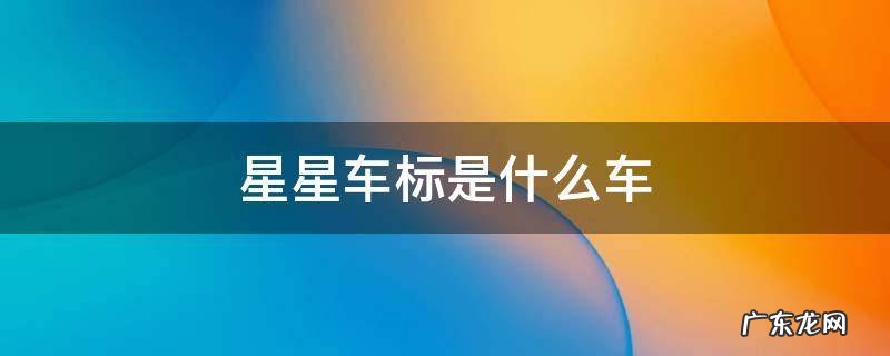 星星车标是什么车 两个星星车标是什么车