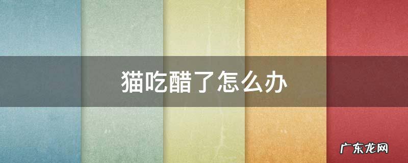 猫吃醋了怎么办 猫猫喝了醋怎么办