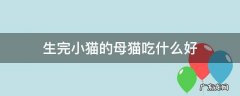 母猫生完小猫吃啥 生完小猫的母猫吃什么好