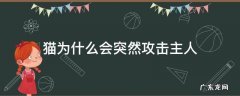 猫为什么会突然攻击主人 猫突然攻击主人是什么原因
