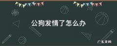 公狗发情怎么办泰迪 公狗发情了怎么办