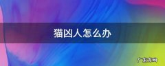 猫凶人怎么办 小奶猫凶人怎么办