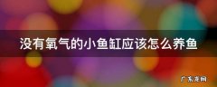 鱼缸增氧泵需要一直开着吗 没有氧气的小鱼缸应该怎么养鱼