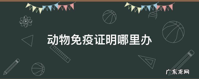 怎么办理动物免疫证 动物免疫证明哪里办