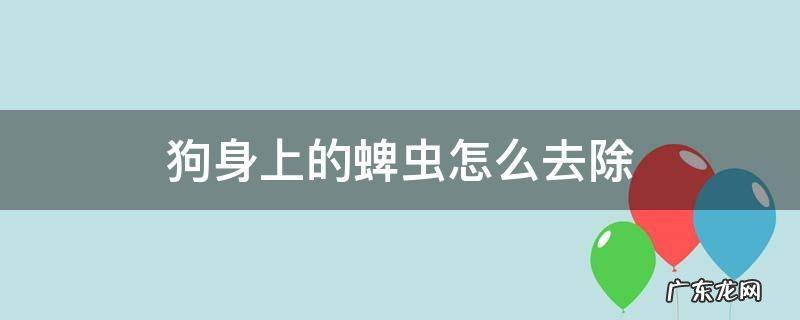 狗身上的蜱虫怎么去除 狗身上蜱虫怎么去除简单方法
