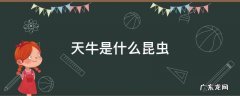 天牛是什么昆虫图片 天牛是什么昆虫