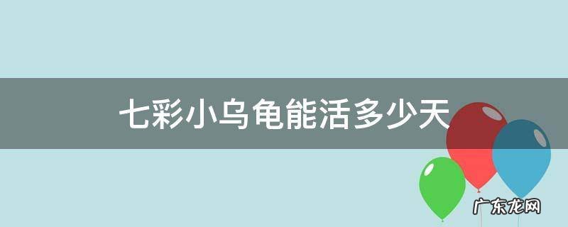 七彩小乌龟能活多少天 七彩乌龟能长多大