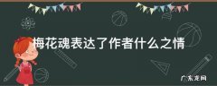 梅花魂作者围绕梅花写了什么 梅花魂表达了作者什么之情