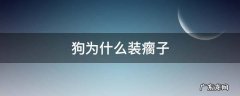 狗为什么会装瘸腿 狗为什么装瘸子