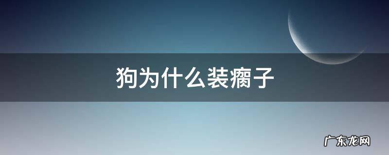 狗为什么会装瘸腿 狗为什么装瘸子