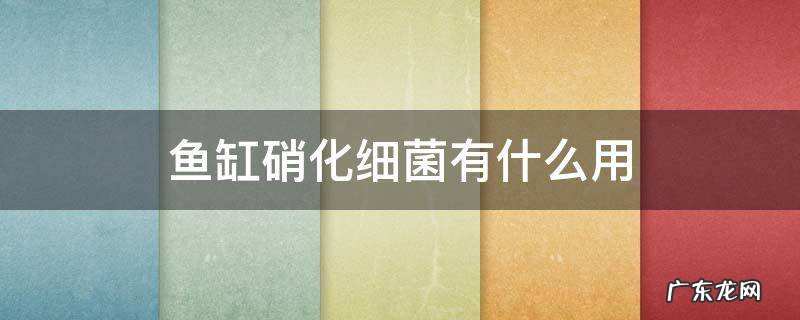 鱼缸硝化细菌有什么用 鱼缸用的硝化细菌有什么作用