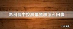 昂科威黑屏是怎么回事 昂科威中控屏幕黑屏怎么回事