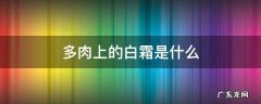 多肉上的白霜是什么 多肉植物上的白霜是什么