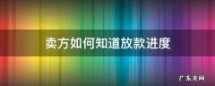 卖方如何知道放款进度 卖方能查到买方放款进度吗