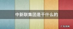 中新联公司 中新联集团是干什么的