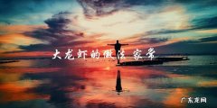 家常大龙虾做法，教你轻松搞定！