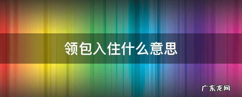 领包入住什么意思 拎包入住是不是成语