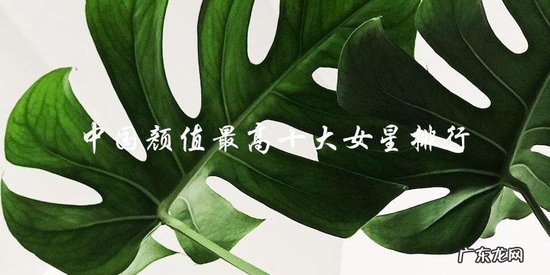 这十位女星颜值高到让人惊叹,第一名竟然是她?!