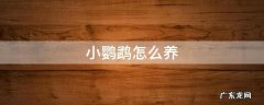 小鹦鹉怎么养 刚破壳的小鹦鹉怎么养