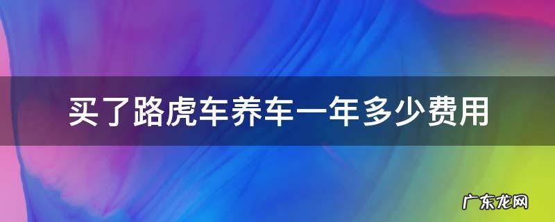 养路虎车一年需要多少钱 买了路虎车养车一年多少费用