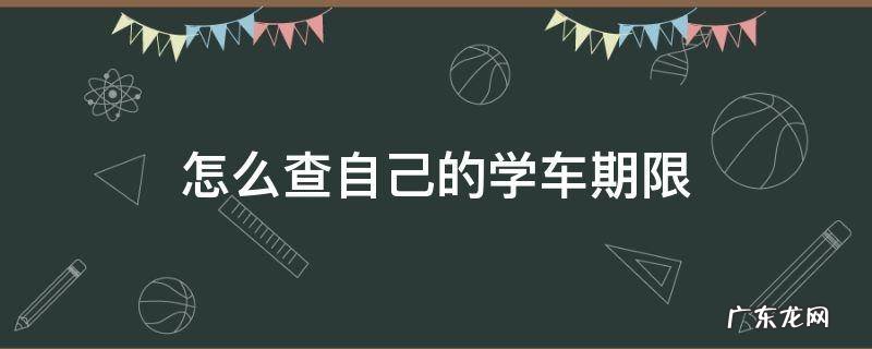 怎么查自己的学车期限,显示印章未维护怎么办 怎么查自己的学车期限