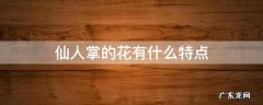 仙人掌的花有什么特点 仙人掌的花有什么特点?