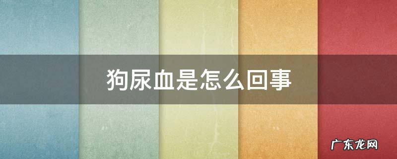 狗尿血是怎么回事 狗尿血是怎么回事?