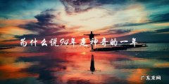 神秘的谜团：为何94年被誉为神奇的一年