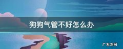 狗狗气管不舒服 狗狗气管不好怎么办