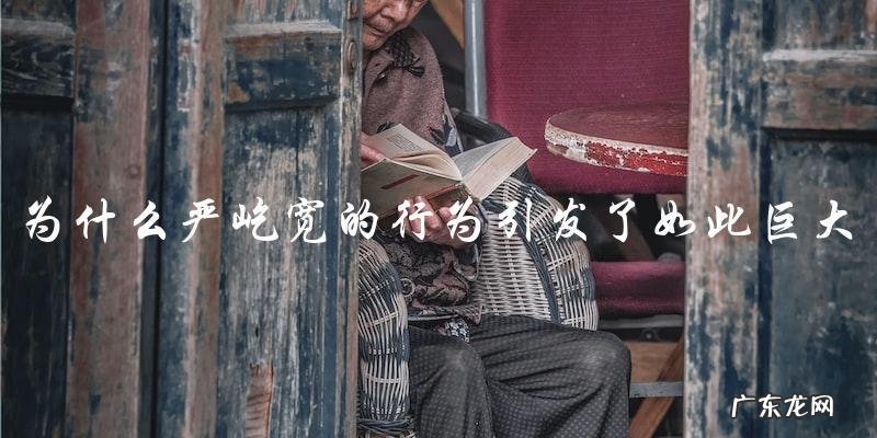 为什么严屹宽的蠢行为引发了如此巨大的反响?