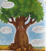 大树的作用是什么？看完才知道!
