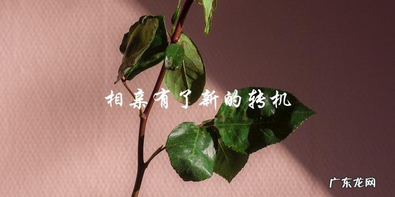 大龄剩女相亲,她以为有机会,却被嫌弃,但最后却发现……