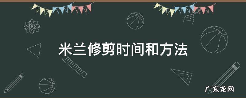 米兰修剪时间和方法 米兰花修剪时间和方法