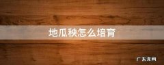 地瓜秧怎么培育 地瓜秧怎么培育成种苗?