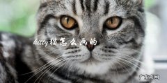 如何画一只可爱的kitty猫？