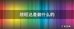 深圳欣旺达是做什么的 欣旺达是做什么的