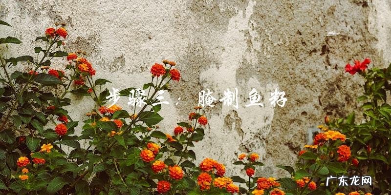 鱼籽怎么做好吃视频