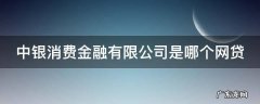 中银消费金融有限公司是哪个网贷 中银消费有限公司旗下贷款平台