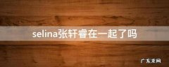 轩睿和selina在一起了吗 selina张轩睿在一起了吗